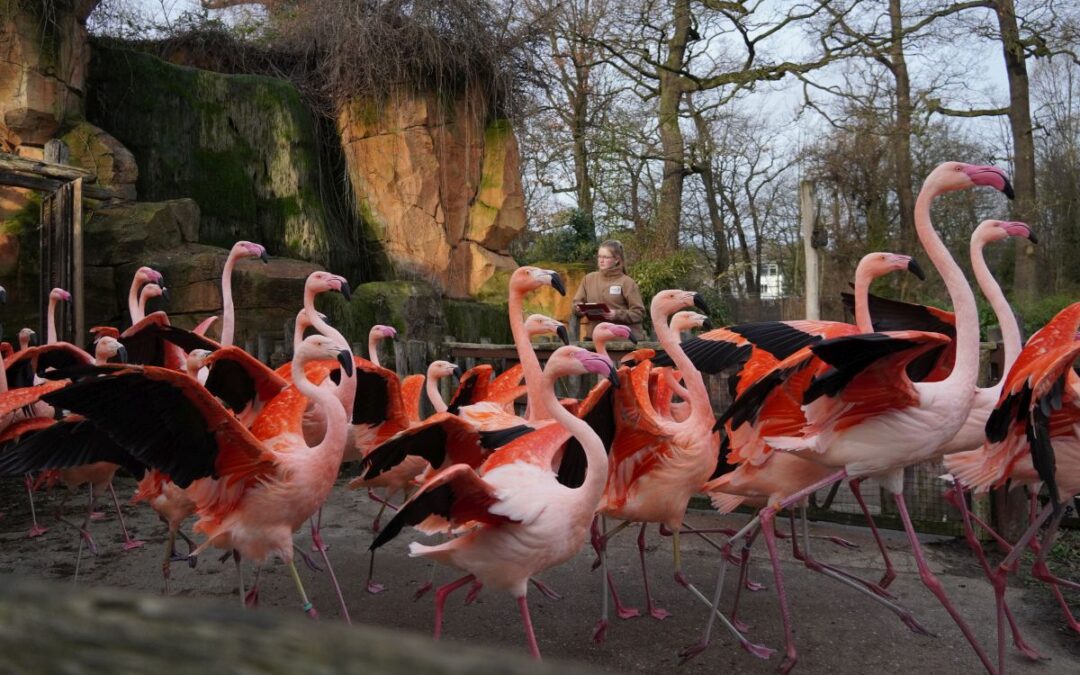 Wie läuft die Inventur im Zoo?